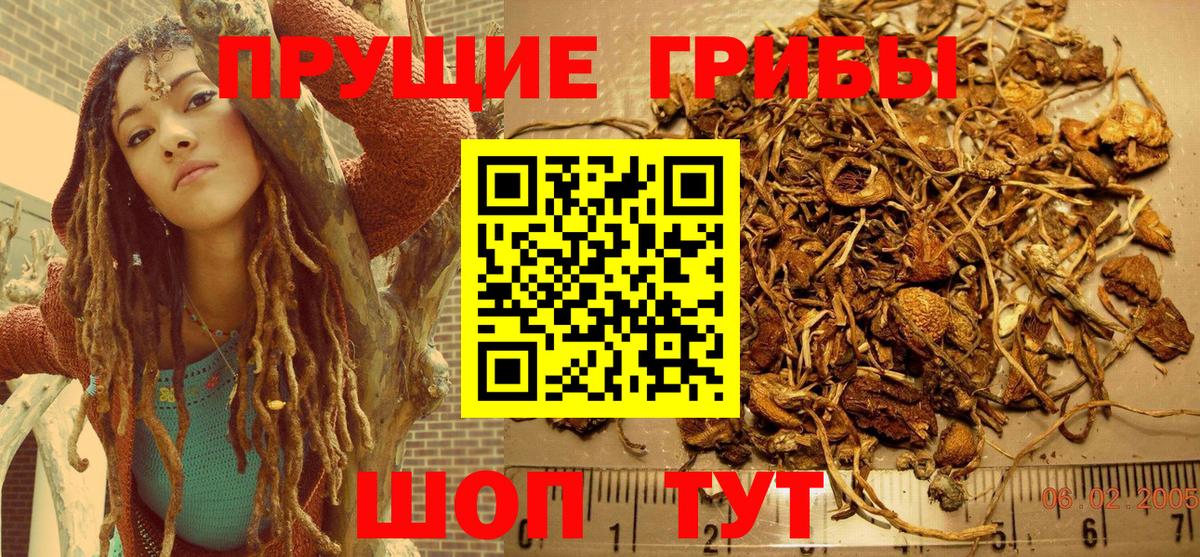 Галлюциногенные грибы GOLDEN TEACHER Белая Калитва